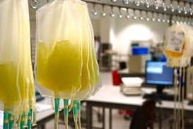 CEBaP | What is the impact of repeated plasma donation on donor health?